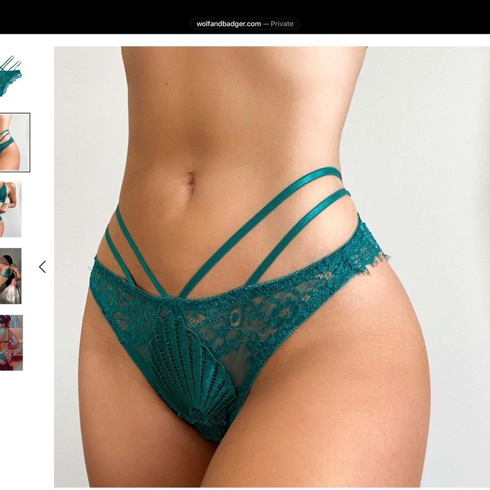 Empress Mimi Elegant Venus Brazilian Lace Teal Panties-NWT - Picture 3 of 4
